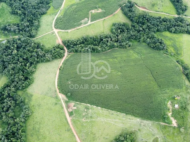 Imagem 9: Fazenda À Venda, Rural, Passos - Mg