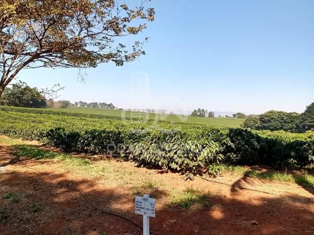 Imagem 7: Fazenda no Sul de Minas Gerais,Região de Passos - Mg. Área Total 1300Ha