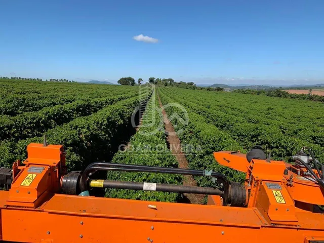 Imagem 12: Fazenda no Sul de Minas Gerais,Região de Passos - Mg. Área Total 1300Ha