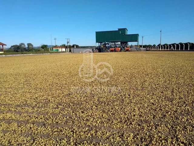Imagem 13: Fazenda no Sul de Minas Gerais,Região de Passos - Mg. Área Total 1300Ha