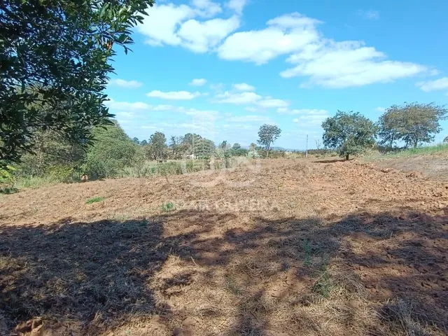 Imagem: Terreno de Sítio com 5.000 M, na Estrada