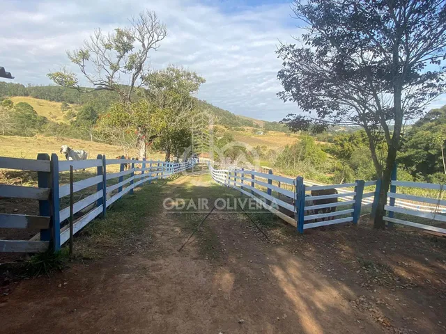 Imagem 2: Sítio de 10.22 Hectares À Venda, na Região da Mumbuca, Passos - Mg