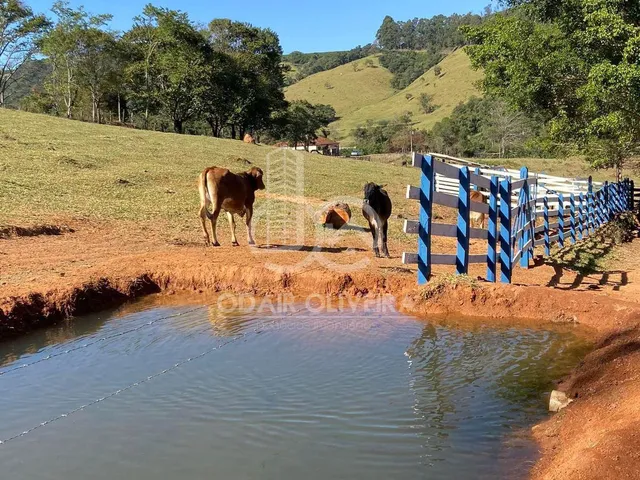 Imagem 6: Sítio de 10.22 Hectares À Venda, na Região da Mumbuca, Passos - Mg