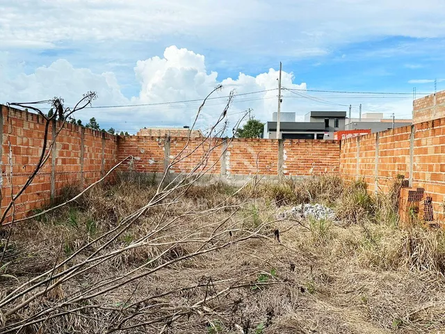 Imagem: Terreno Plano e Murado de 200M À Venda
