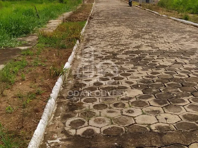 Imagem 9: Terreno de 1.300M À Venda, Vale das Aguas, Passos - Mg