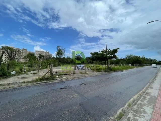Imagem: Terreno para Alugar em Palhoça, Aluguel