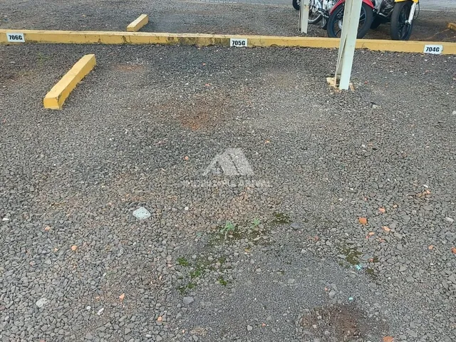 Imagem 13: Apartamento Mobiliado com Elevador