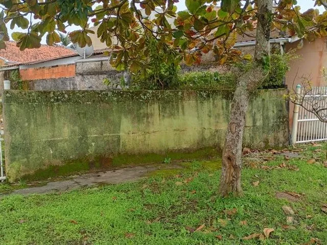 Imagem 3: Terreno Bom Retiro Meio Terreno Aterrado Murado Proximo Centro 500 M do Mar