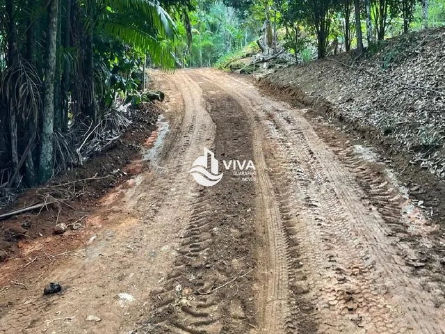 Imagem 5: 0 Chácara com 3 dormitórios