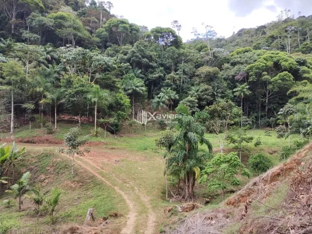 Imagem: Sítio À Venda com 8,8 Alqueires e 43 Hectares