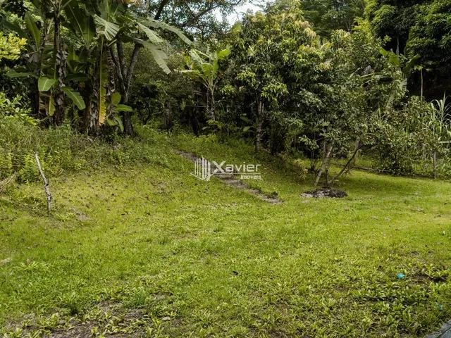 Imagem 10: Chácara À Venda com 12.000 M² em Duas Barras, Anchieta/Es - Casa, Piscina, Lagoa e Área Gourmet