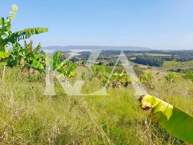 Imagem: Área / Sítio com 60.988 M² e Inscrição