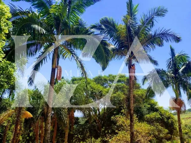 Imagem 7: Chácara a Venda Pronta para Construir no Bairro santa Clara 21Mil M2, santa Clara, Jundiaí-Sp