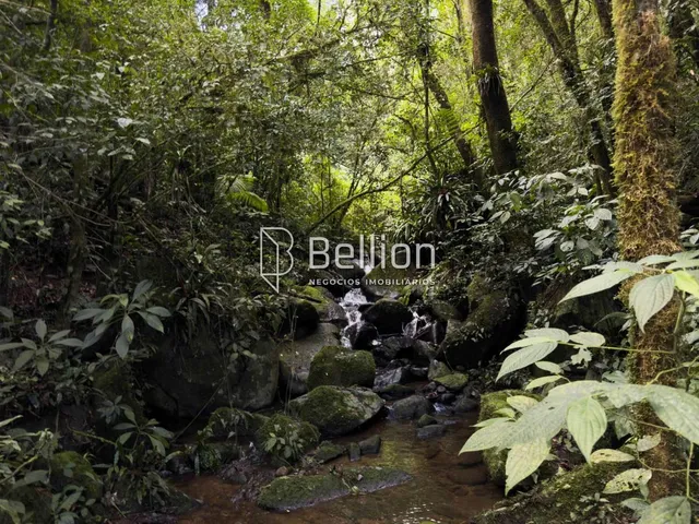 Imagem 8: Terreno com Cachoeira em Ribeirão Coração, Benedito Novo