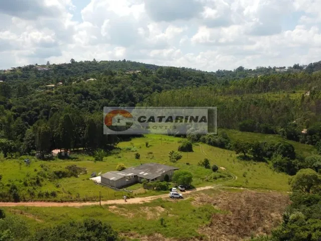 Imagem: Ótimo Sítio de 3 Alqueires!