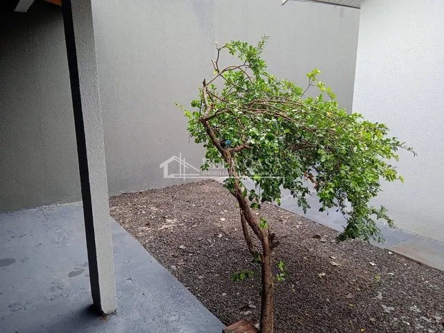 Imagem 9: Casa, Centro - Doutor Camargo