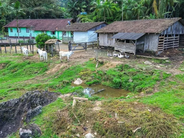 Imagem 6: Sítio a Venda com Área de Pastagem e 19 Hectares em Rio dos Cedros-Sc