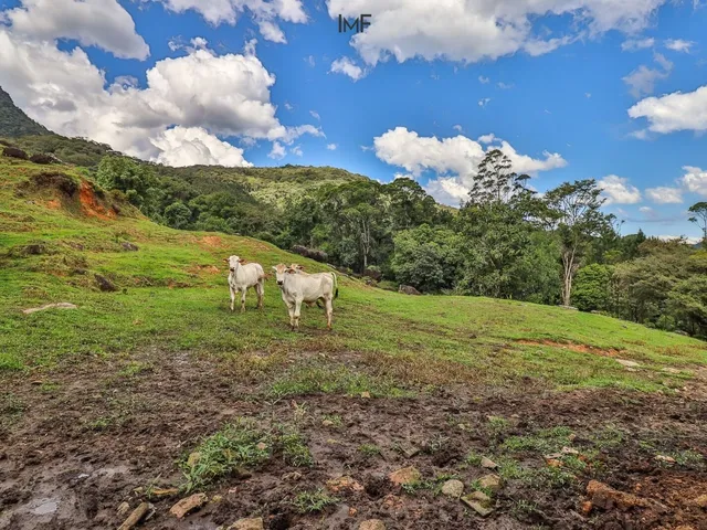 Imagem 4: Sítio a Venda com Área de Pastagem e 19 Hectares em Rio dos Cedros-Sc