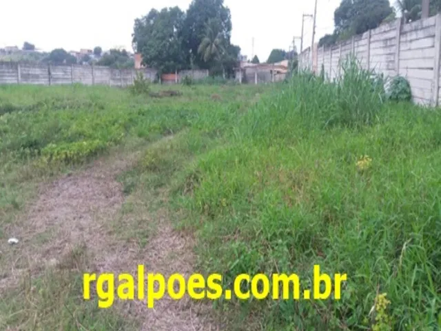 Imagem: