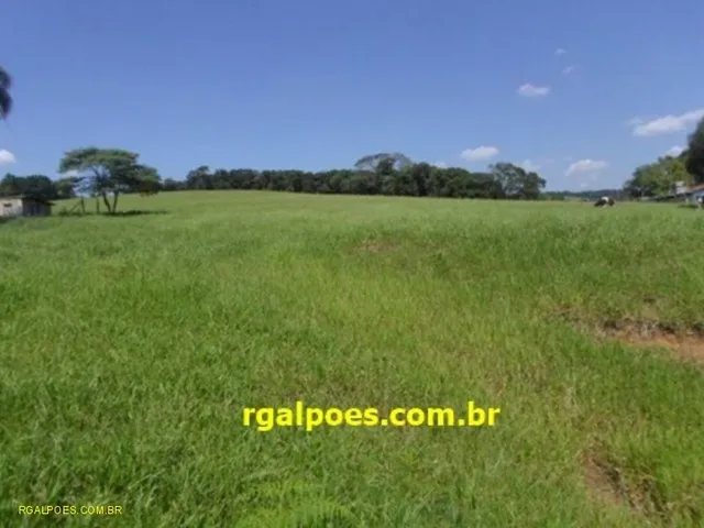 Imagem: