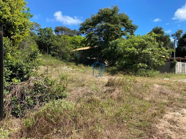 Imagem 4: Terreno Praia da Pipa