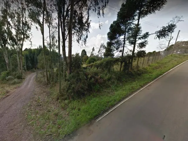 Imagem: Área Terra para Venda em Linha Feijó