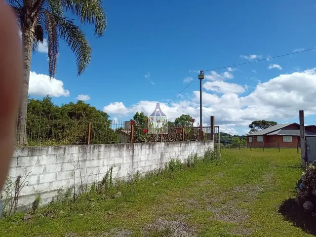 Imagem 4: Chácara para Venda - Boca da Serra / Vila Seca - Caxias do Sul - 1 Hectare