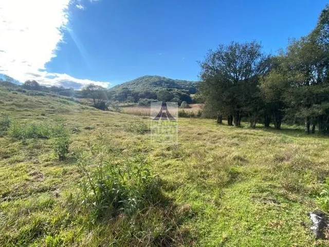 Imagem 7: Chácara para Venda - Fazenda Souza - Caxias do Sul - 1 Hectare