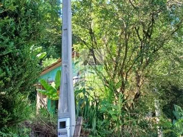 Imagem 10: Chácara para Venda em Travessão Barros Pimentel - Vila Cristina - 4,5 Hectares