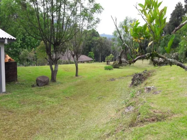 Imagem 8: Chácara para Venda em Linha Feijó - Caxias do Sul