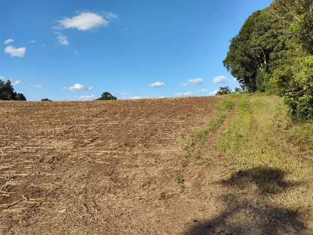 Imagem 8: Área Terra para Venda em Forqueta - 15,18 Hectares