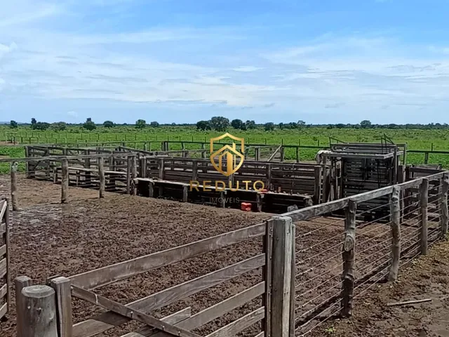 Imagem 4: Fazenda À Venda no Bairro Centro - Buritizeiro/Mg