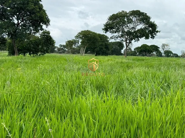 Imagem 4: Fazenda À Venda no Bairro Centro - João Pinheiro/Mg