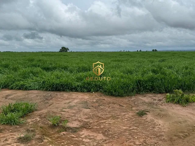 Imagem 2: Fazenda À Venda no Bairro Centro - João Pinheiro/Mg