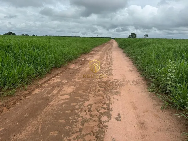 Imagem 5: Fazenda À Venda no Bairro Centro - João Pinheiro/Mg