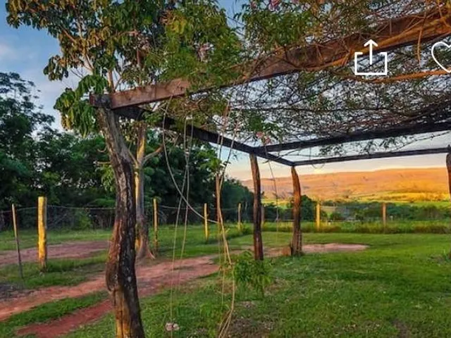 Imagem 7: Vende-Se Chácara em Delfinópolis