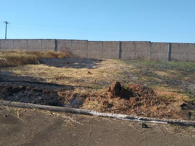 Imagem: Terreno Á Venda em Delfinopolis - Mg no
