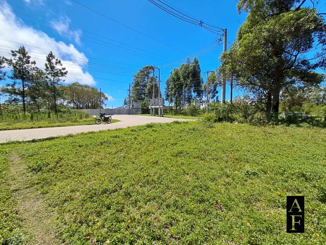 Imagem 6: Terreno no Bairro Limpa, Garopaba/Sc