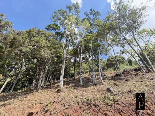 Imagem 11: Terreno Vista Mar e Lagoa em Garopaba Sc