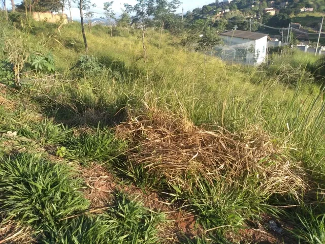 Imagem 10: Lotes no São Damião em Vespasiano