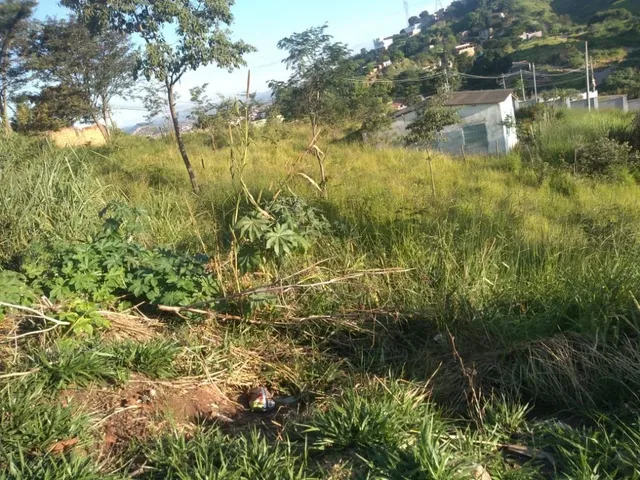 Imagem 11: Lotes no São Damião em Vespasiano