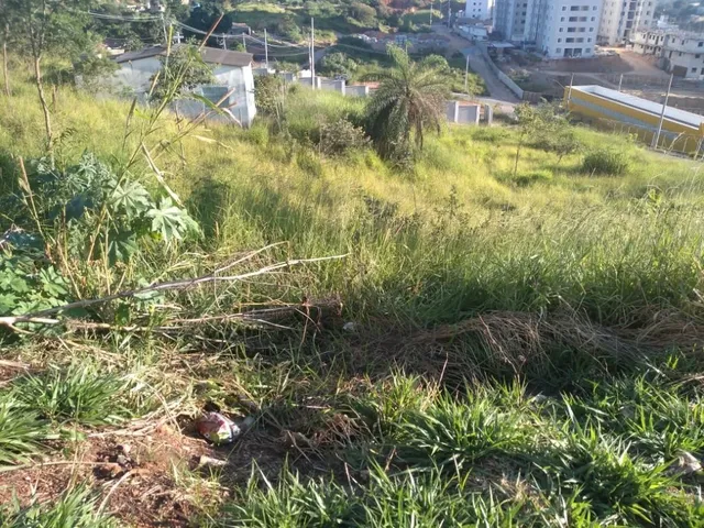 Imagem 12: Lotes no São Damião em Vespasiano