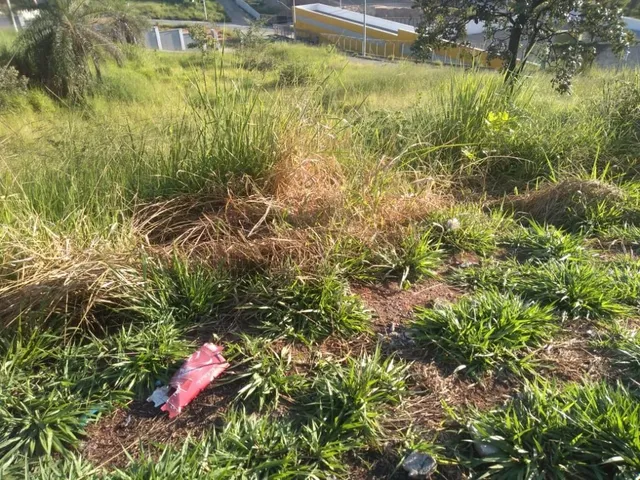 Imagem 14: Lotes no São Damião em Vespasiano