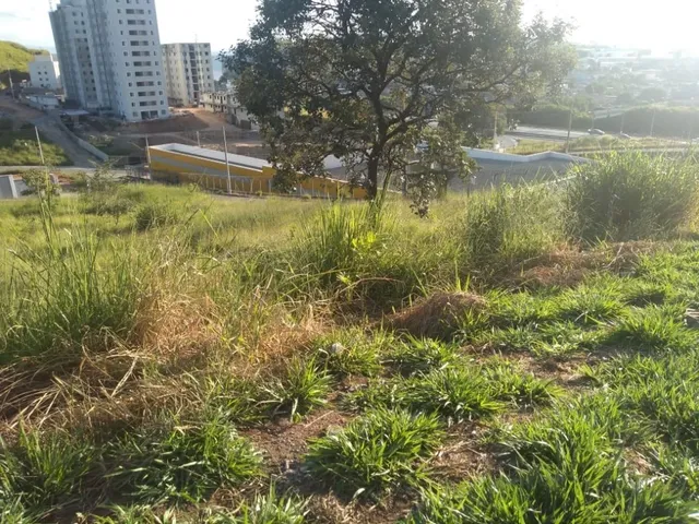Imagem 15: Lotes no São Damião em Vespasiano
