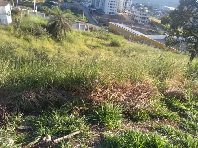 Imagem 16: Lotes no São Damião em Vespasiano
