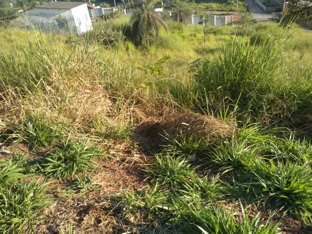 Imagem 7: Lotes no São Damião em Vespasiano