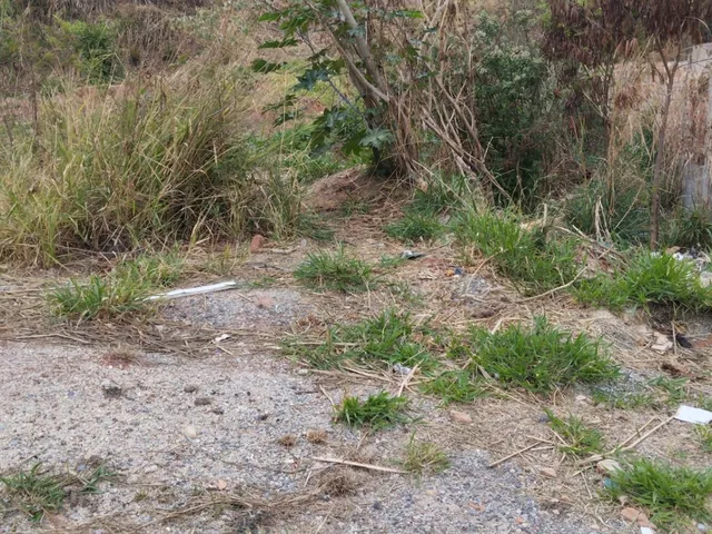Imagem 5: Lotes no São Damião em Vespasiano