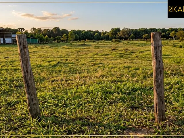 Imagem: Amplo Terreno