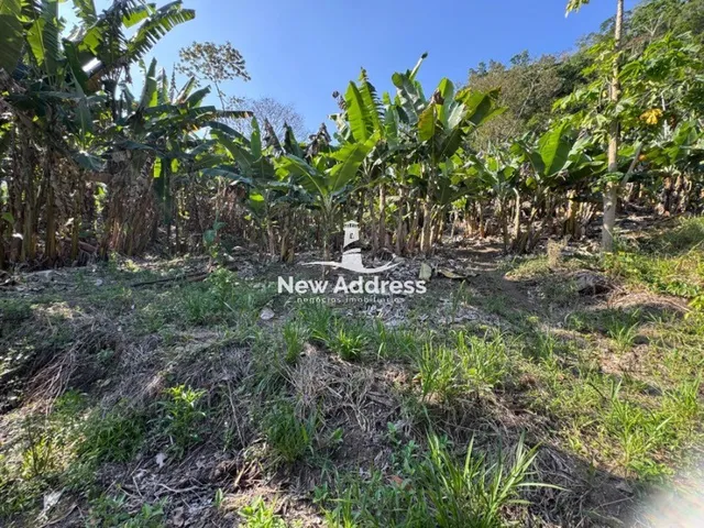 Imagem: Terreno de 20.000 M² a Venda em Chapéu