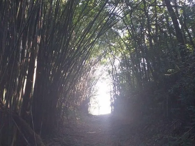 Imagem 11: Terreno À Venda, 1300 M² por R$ 250.000,00 - Centro - Jarinu/Sp